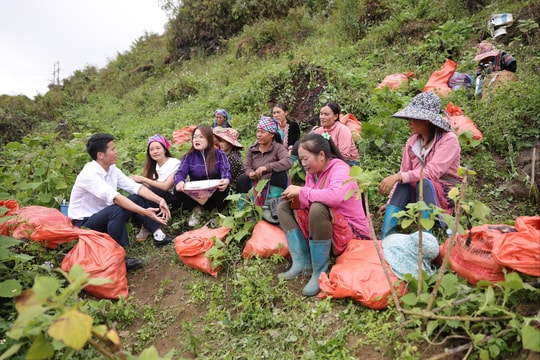 Phụ nữ vùng cao và hành trình chuyển đổi số từ ruộng khoai Sìn Hồ