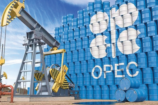Thị trường dầu mỏ chịu áp lực từ kế hoạch nới nguồn cung của OPEC+ Thị trường dầu mỏ chịu áp lực từ kế hoạch nới nguồn cung của OPEC+
