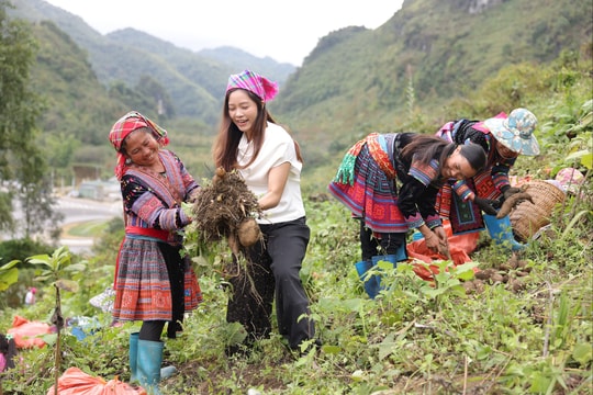 Phụ nữ vùng cao và hành trình chuyển đổi số từ ruộng khoai Sìn Hồ Phụ nữ vùng cao và hành trình chuyển đổi số từ ruộng khoai Sìn Hồ