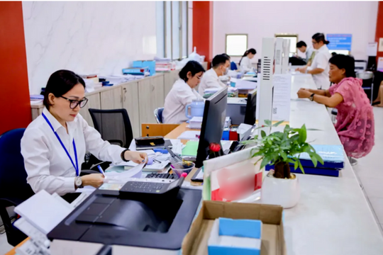 Bộ Nội vụ đề xuất bổ sung tiêu chuẩn chức danh lãnh đạo trong đơn vị sự nghiệp công lập Bộ Nội vụ đề xuất bổ sung tiêu chuẩn chức danh lãnh đạo trong đơn vị sự nghiệp công lập