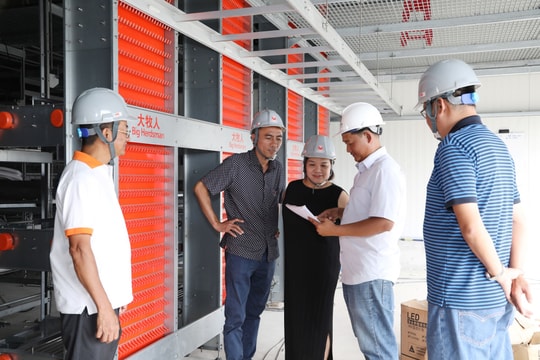 Mebi Farm và hành trình lan tỏa triết lý “sống xanh” từ nông trại đến sân cỏ Mebi Farm và hành trình lan tỏa triết lý “sống xanh” từ nông trại đến sân cỏ