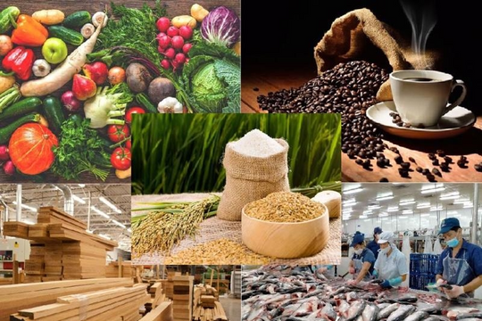 Cà phê, rau quả và thủy sản dẫn đầu tăng trưởng xuất khẩu nông sản Việt Nam
