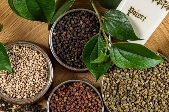 Giá tiêu hạ nhiệt, xuất khẩu Việt Nam vẫn giữ đà tăng trưởng mạnh