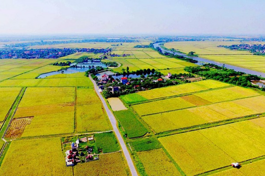 Hướng dẫn mới về cách tính tiền bồi thường đất nông nghiệp khi Nhà nước thu hồi