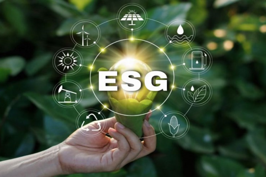 Thủ tướng yêu cầu hoàn thiện khung chính sách tín dụng xanh, hỗ trợ lãi suất 2% cho doanh nghiệp