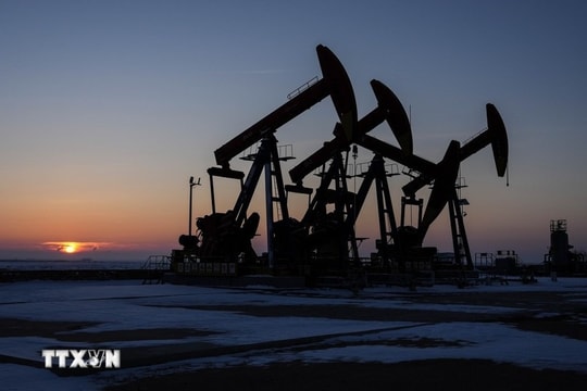 Triển vọng hòa đàm Nga - Ukraine gây áp lực lên giá dầu