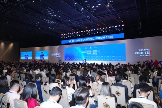 TP.HCM khẳng định vai trò tiên phong trong chuyển đổi xanh - số