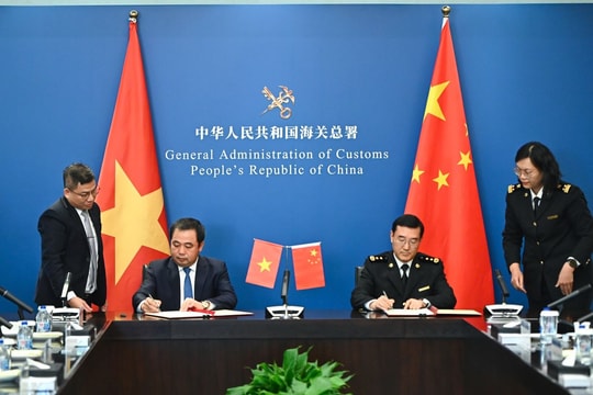 Xuất khẩu mít tươi sang Trung Quốc: Bước tiến mới trong hợp tác nông nghiệp