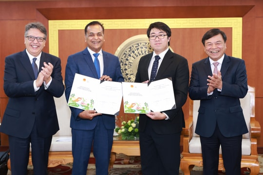 Hợp tác thúc đẩy tăng trưởng bền vững và thực hiện mục tiêu Net Zero