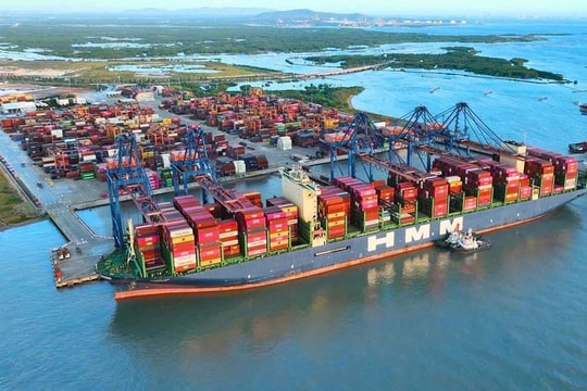 TP.HCM mở rộng thu phí hạ tầng cảng biển sang Bình Dương và Bà Rịa - Vũng Tàu