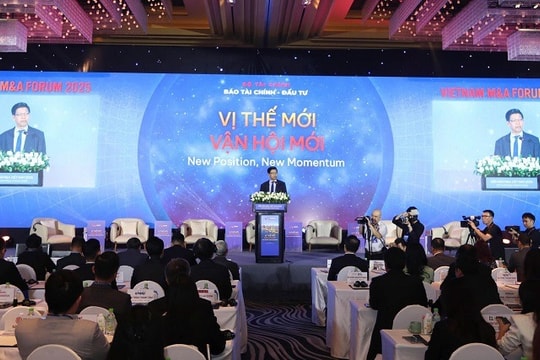 Thị trường M&A Việt Nam: Tái cân bằng giữa vốn trong nước và vốn quốc tế