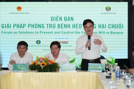 Chuối Việt trước ngưỡng cửa thị trường mới