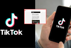 Người dùng TikTok được cảnh báo lừa đảo trực tuyến trực tiếp trong ứng dụng