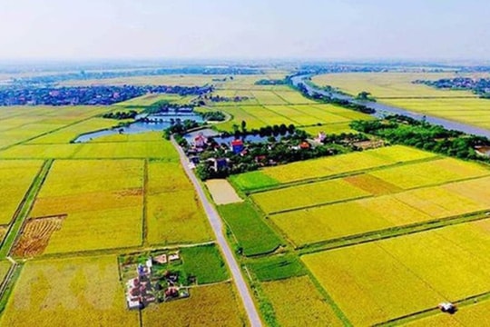 Đề xuất quy định mới về tiền sử dụng đất khi chuyển đất vườn, đất nông nghiệp sang đất ở