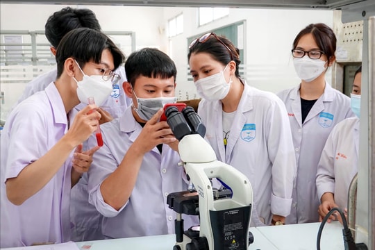 Phát triển nguồn nhân lực chất lượng cao trong các ngành mũi nhọn - Hướng đi cho TP.HCM: “Nhân lực cầu nối”: Mắt xích trong hệ sinh thái đổi mới sáng tạo (Bài 1)