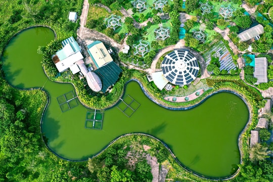 TP.HCM phát triển nông nghiệp công nghệ cao