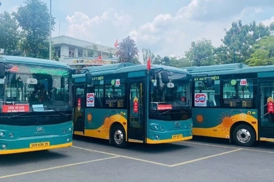 TP.HCM giảm mạnh chi phí trợ giá nhờ mở rộng đấu thầu xe buýt