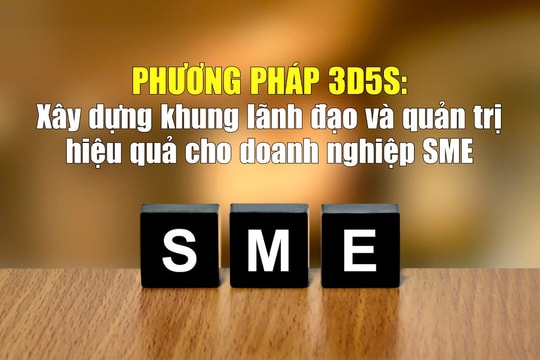 Phương pháp 3D5S: Xây dựng khung lãnh đạo và quản trị hiệu quả cho doanh nghiệp SME