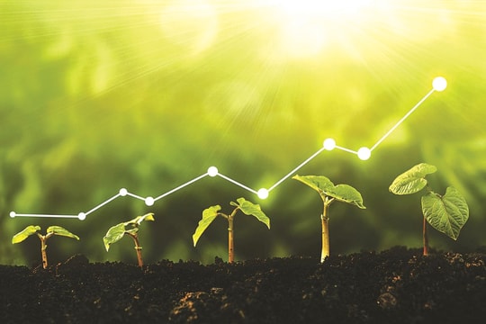 Trước ngưỡng thực thi xanh: Doanh nghiệp phải rời khỏi “vùng an toàn”