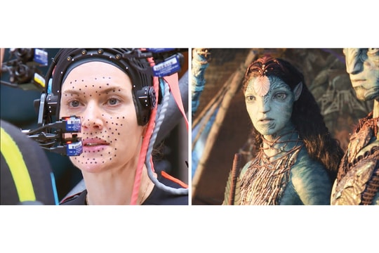 Nhìn từ “Avatar”: Xây thương hiệu lớn từ tư duy đúng