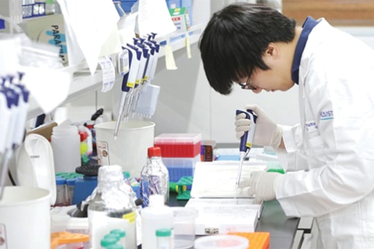 Cách mạng ngành dược: Khi AI làm thuốc, con người làm gì?