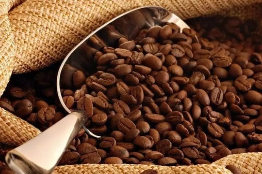 Thị trường cà phê điều chỉnh, Robusta vững giá, Arabica giảm mạnh