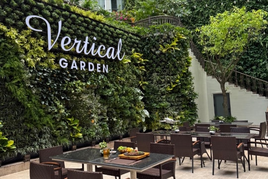 Vertical Garden – Khoảng xanh buổi sáng giữa trung tâm Sài Gòn