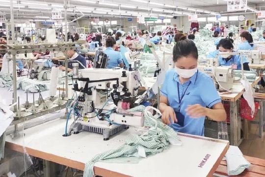 Doanh nghiệp nhỏ và vừa được miễn thuế thu nhập trong 3 năm đầu