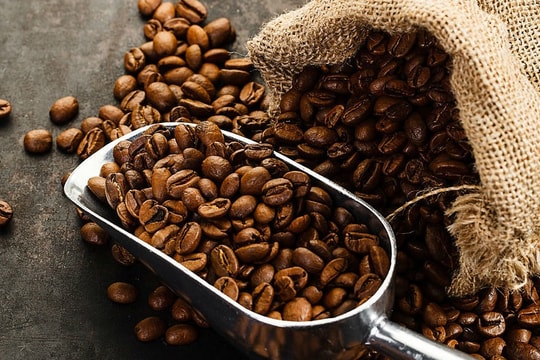Giá cà phê nội địa nhích lên, Robusta dẫn dắt đà tăng