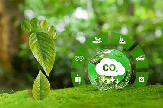 Quy định về sàn giao dịch carbon trong nước