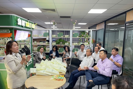 CLB Doanh nhân Quảng Trị Miền Nam lan tỏa giá trị “Kết nối - Giao thương - Phát triển” tại TP.HCM