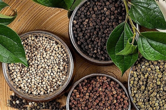 Giá tiêu ổn định quanh ngưỡng 148.000 đồng/kg