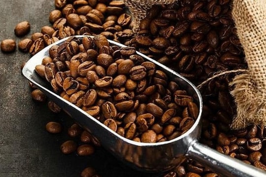 Giá cà phê trong nước đi ngang, Robusta điều chỉnh sau nhịp tăng mạnh