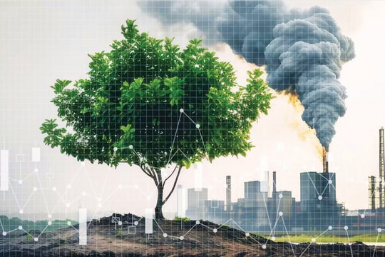 Nghị định số 29/2026/NĐ-CP: Mảnh ghép hoàn thiện cơ sở hạ tầng cho thị trường carbon Việt Nam