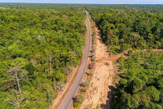 Đồng Nai chấp thuận đề xuất đầu tư tuyến đường kết nối cầu Mã Đà - Vành đai 4 TP.HCM