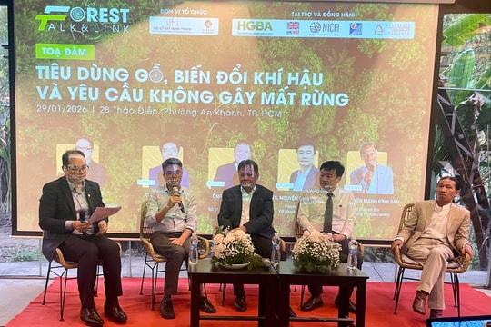 Tiêu dùng gỗ bền vững trước áp lực biến đổi khí hậu và yêu cầu không gây mất rừng