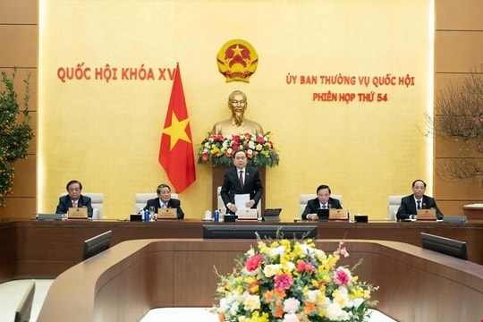 Dự kiến công bố kết quả bầu cử Quốc hội khóa XVI vào ngày 22/3