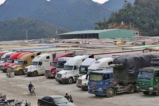 Cục Hải quan yêu cầu triển khai trực 24/7, đẩy nhanh thông quan thực phẩm nhập khẩu