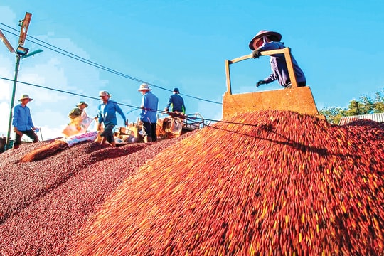 Xây dựng thương hiệu địa phương: Doanh nghiệp là cầu nối