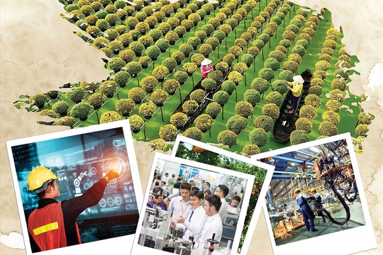 Khởi nghiệp kiến quốc và khát vọng "top 100"