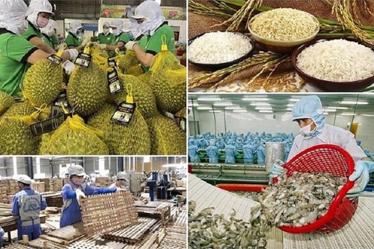 Xuất khẩu nông, lâm, thủy sản hướng tới mốc 74 tỷ USD vào năm 2026