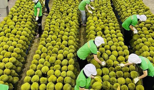 Trung Quốc tăng yêu cầu truy xuất và đăng ký với nông sản nhập khẩu