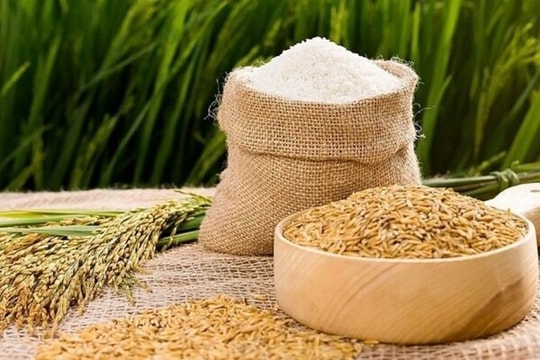 Giá gạo Ấn Độ và Thái Lan ổn định trước kỳ nghỉ Tết Nguyên đán 2026