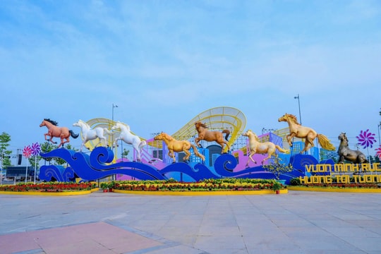 Đường hoa Mỹ Tho và Cao Lãnh rực rỡ sắc xuân Bính Ngọ 2026