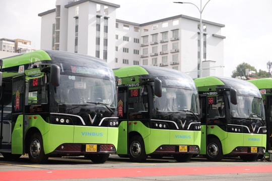 TP.HCM miễn phí vé 118 tuyến xe buýt và metro số 1 trong ngày bầu cử 15/3