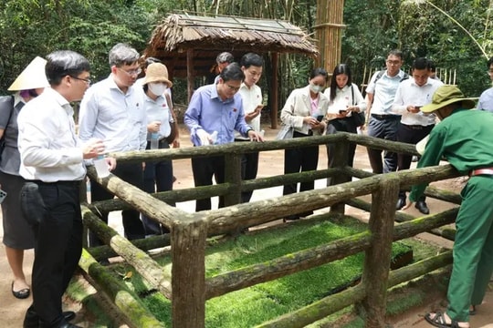 Những nghị quyết mang hơi ấm cuộc đời - Dấu ấn Ban Văn hóa - Xã hội HĐND TP.HCM nhiệm kỳ 2021 - 2026