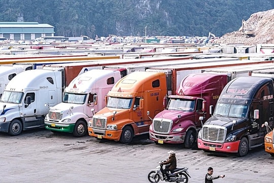 VCCI đề xuất kéo dài thời gian tạm dừng Nghị định 46