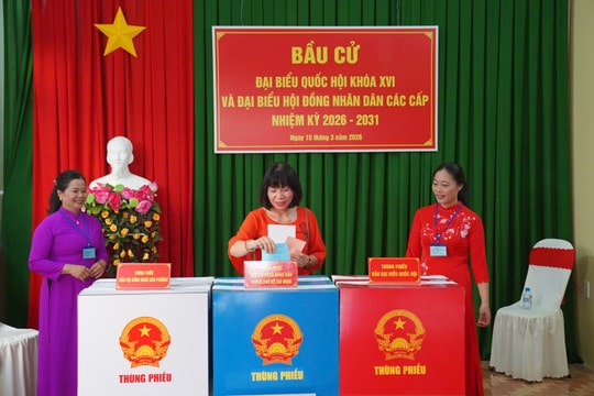 TP.HCM khai mạc bầu cử tại hơn 5.000 khu vực bỏ phiếu