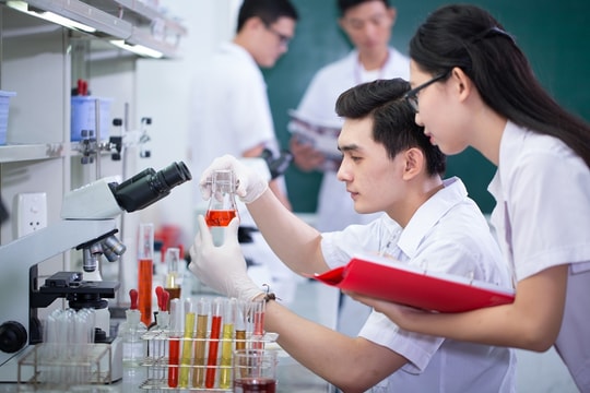 Đề xuất mở rộng cơ chế thu hút nhân tài vào khu vực công