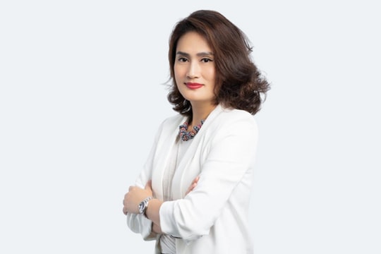 Doanh nghiệp thuộc hệ sinh thái Vingroup trả lương CEO gần 10 tỷ đồng mỗi năm